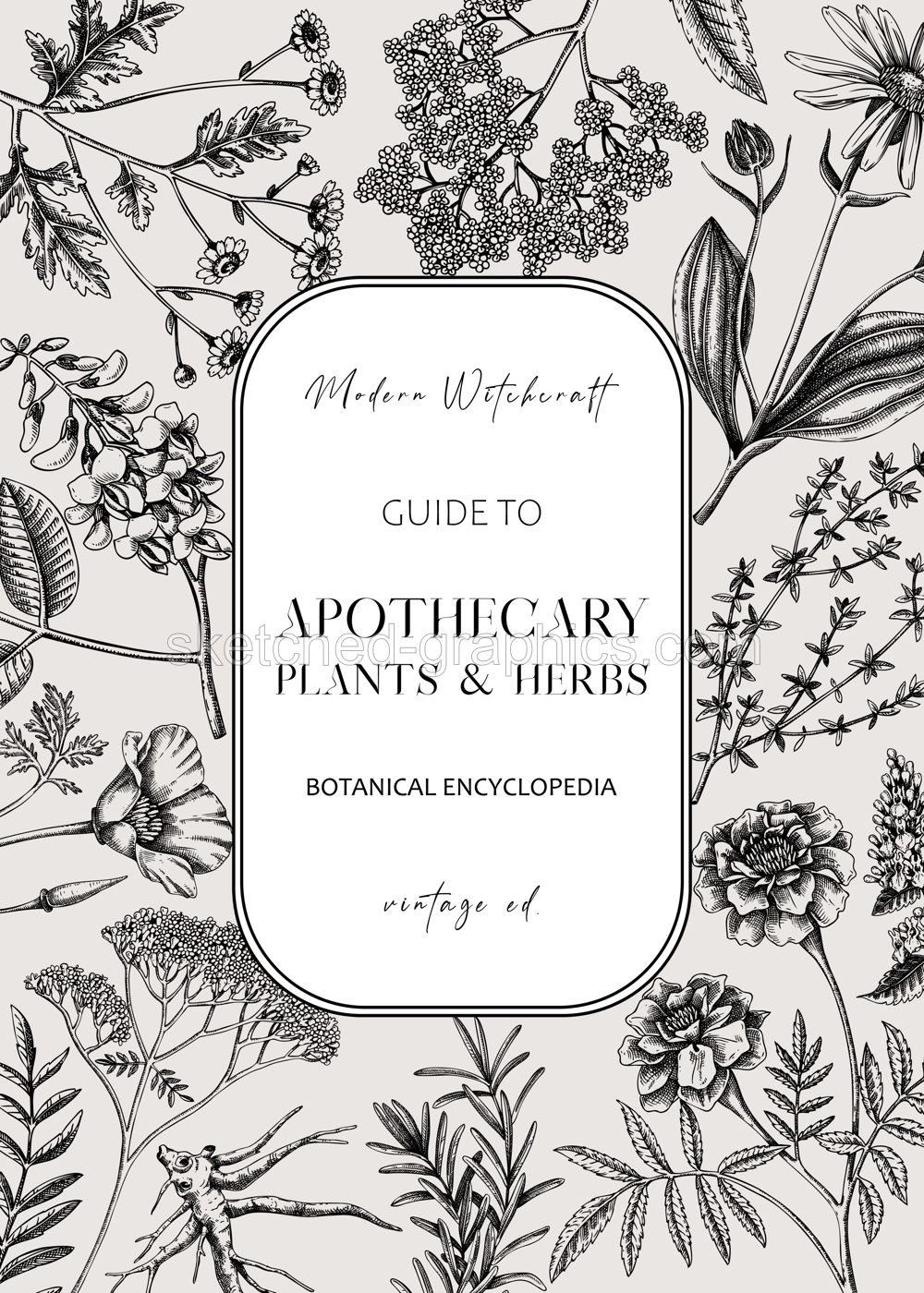 Apothecary plant frame design. Witchcraft background. Herbal remedies, medicinal plant, witch herbs, natural medicine hand-drawn vector illustration. Vinatge card template. NOT AI genereted Illustration
